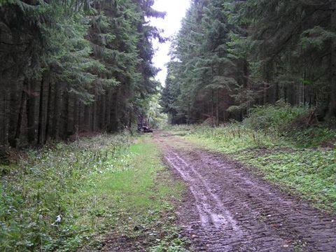 Foto 86